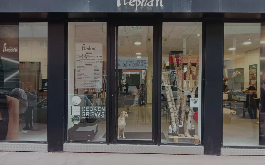 Stephan Toulouse Lombez