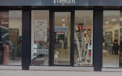 Stephan Toulouse Lombez