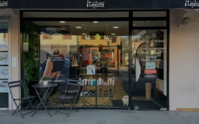 Stephan Ramonville Saint Agne